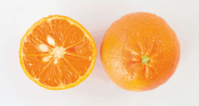 afourer-mandarins