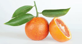 blood-oranges