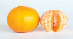 ellendale-mandarins