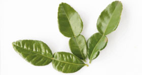 lemon3