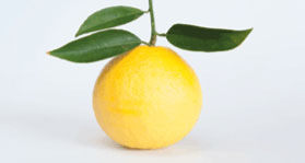 lemon7