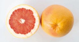 lemon8