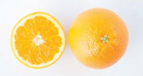 navel-orangers