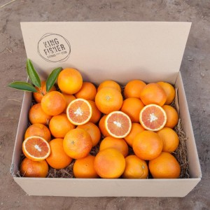 blood-oranges-9-3qi