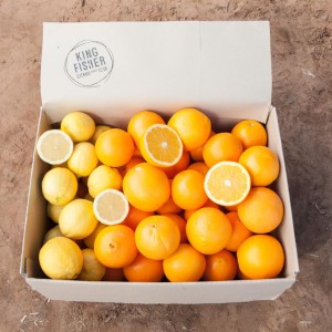 citrus-mix-1-djx