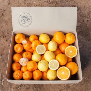 citrus-mix-2-gsf