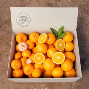 citrus-mix-3-m77