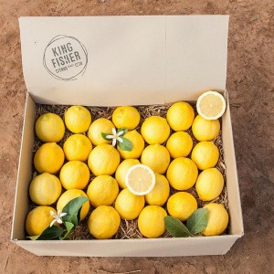 eureka-lemons-lv7