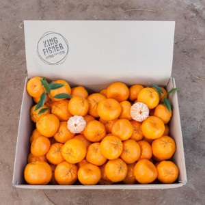 imperial-mandarins-2hd