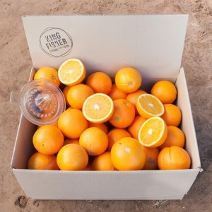 juicing-oranges-dvl-rjr