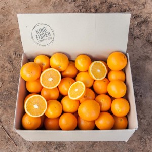 navel-oranges-bnl