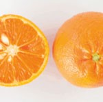 afourer-mandarins