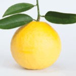 lemon7