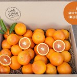 Blood Oranges 5kg FHD