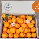 Imperial Mandarins 10kg FHD