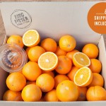 Juicing Oranges 10kg FHD