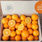 Premium Navel Oranges 10kg FHD