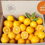 Premium Valencia Oranges 10kg FHD